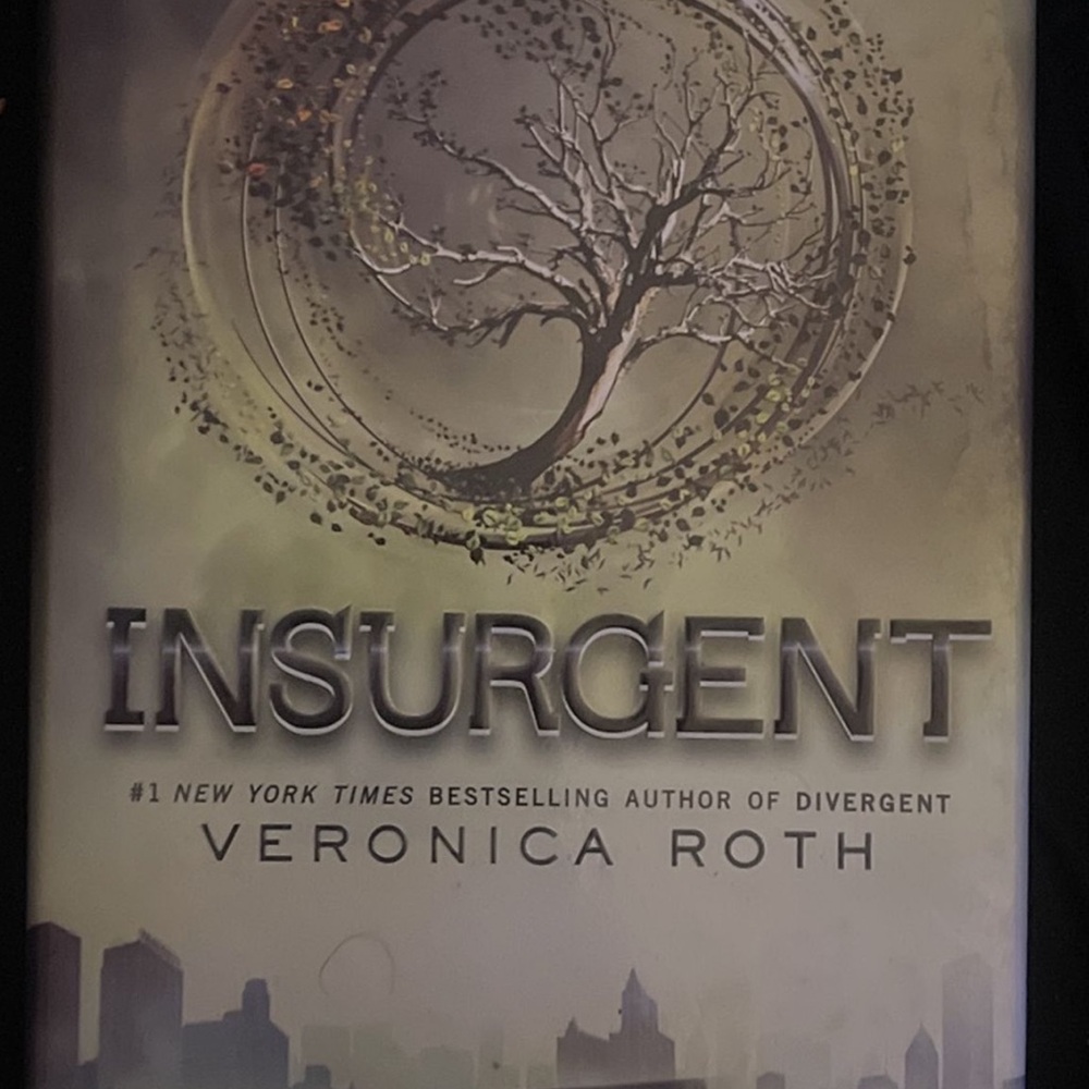'Insurgent' Book Cover - Gray